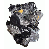 Z20DM