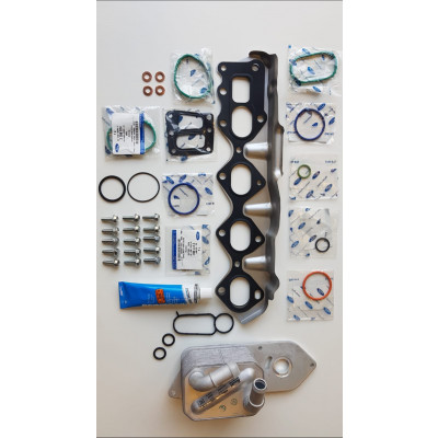 Engine Ford Transit 2.0 TDCi 16_V Eco Blue
