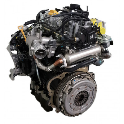 Z20DM